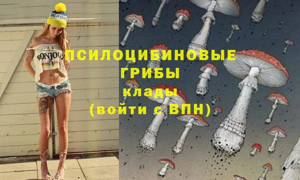 скорость Алексеевка