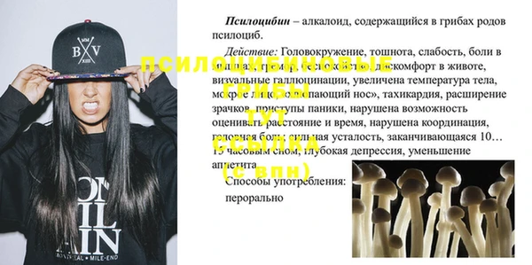 прущий лед Алзамай