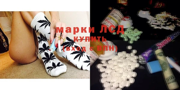 прущий лед Алзамай
