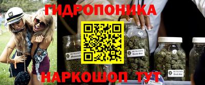 молекула духа Тверь