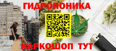 СК Тара